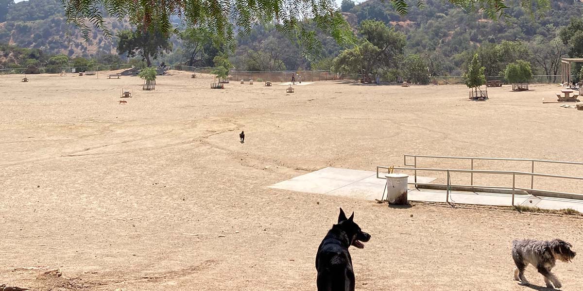 Laurel Canyon Dog Park Before Renovation 