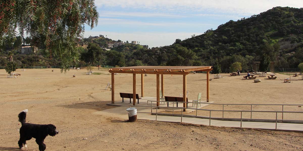 Laurel Canyon Dog Park Walking Path Shade After Renovation 