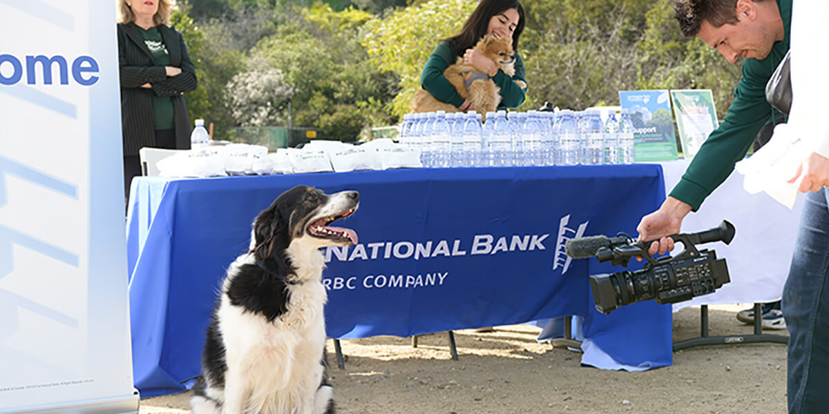 Dog and videographer in front of City National Bank tablecloth