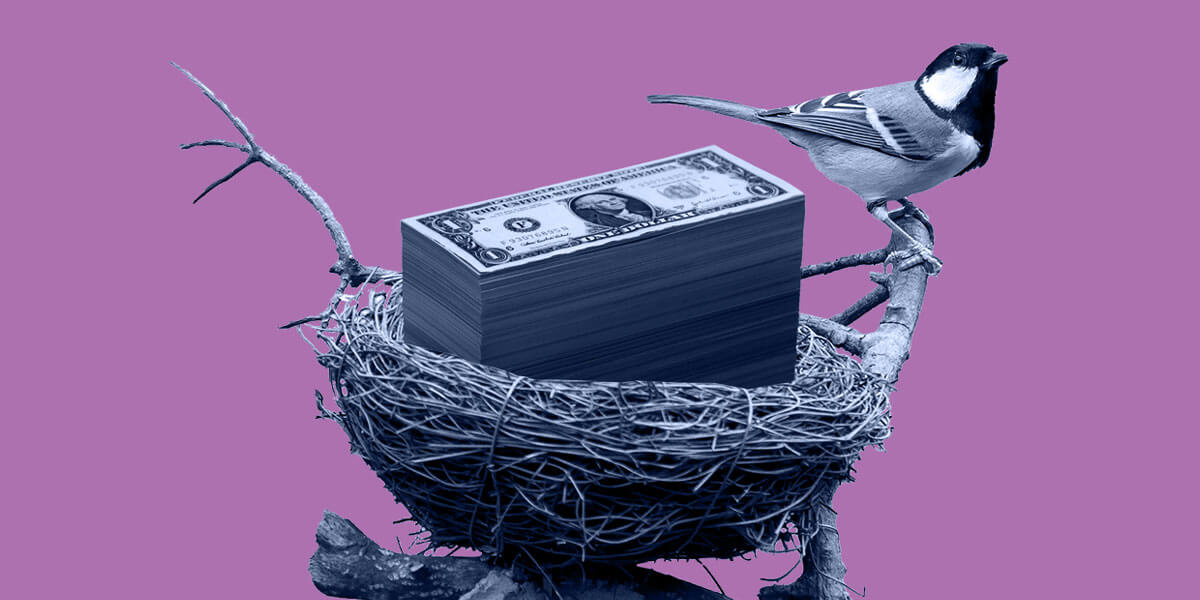 bird in nest full of money