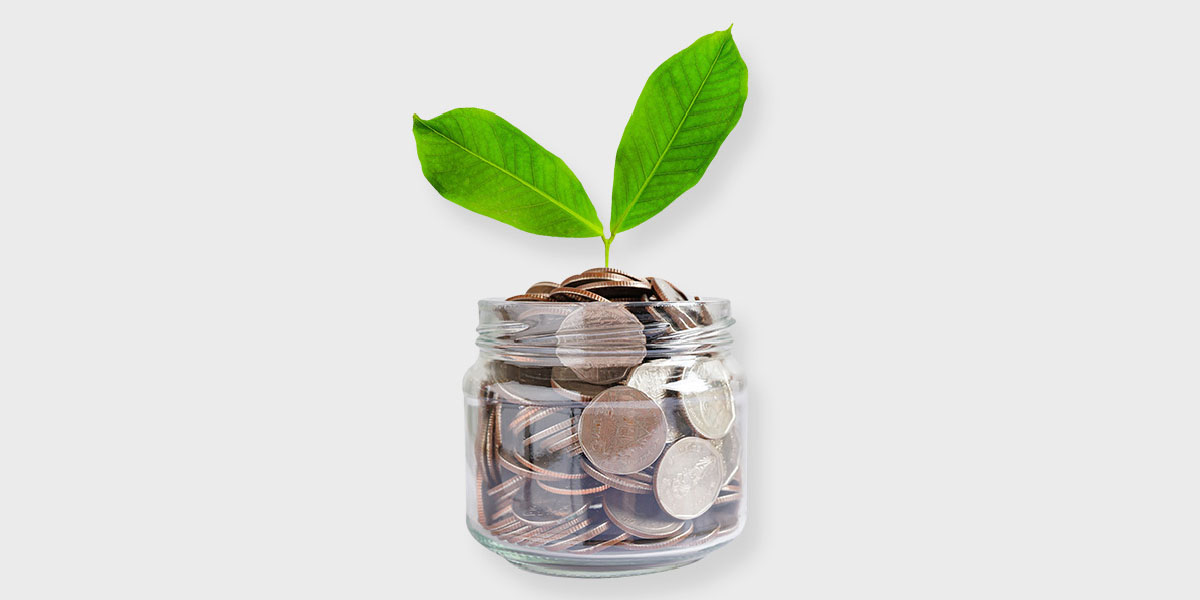 Jar of coins with leaves growing from top