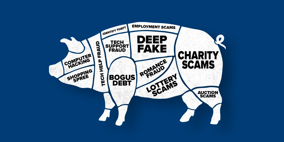 Pig butchering diagram labeled with various types of scams
