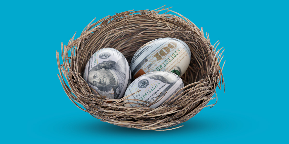 eggs with dollar pattern in nest